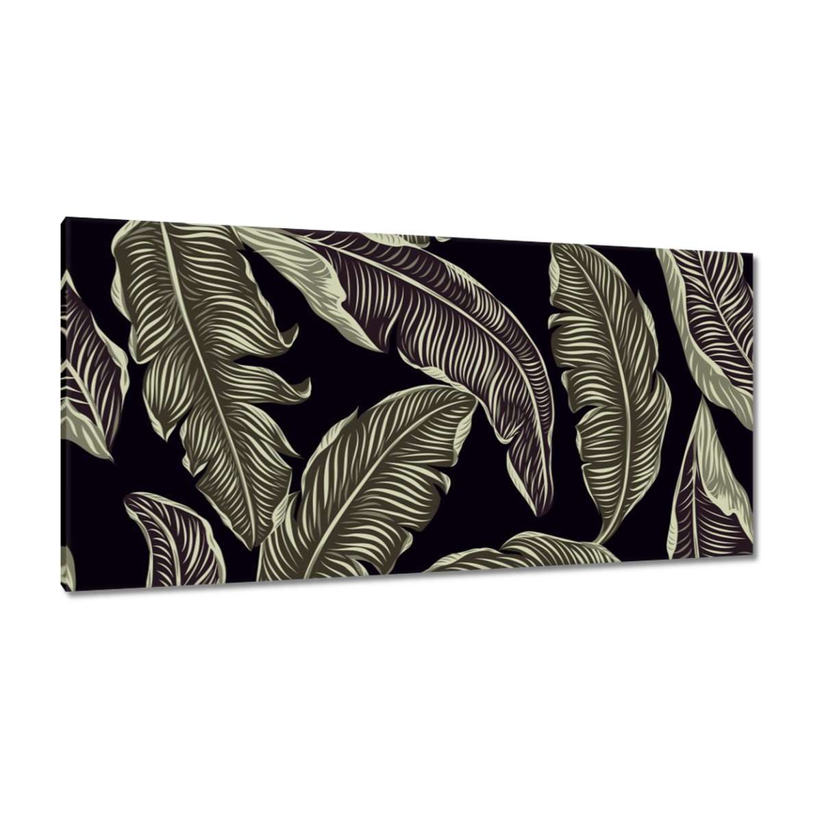 Obrazy 115x55 Tropické listy
