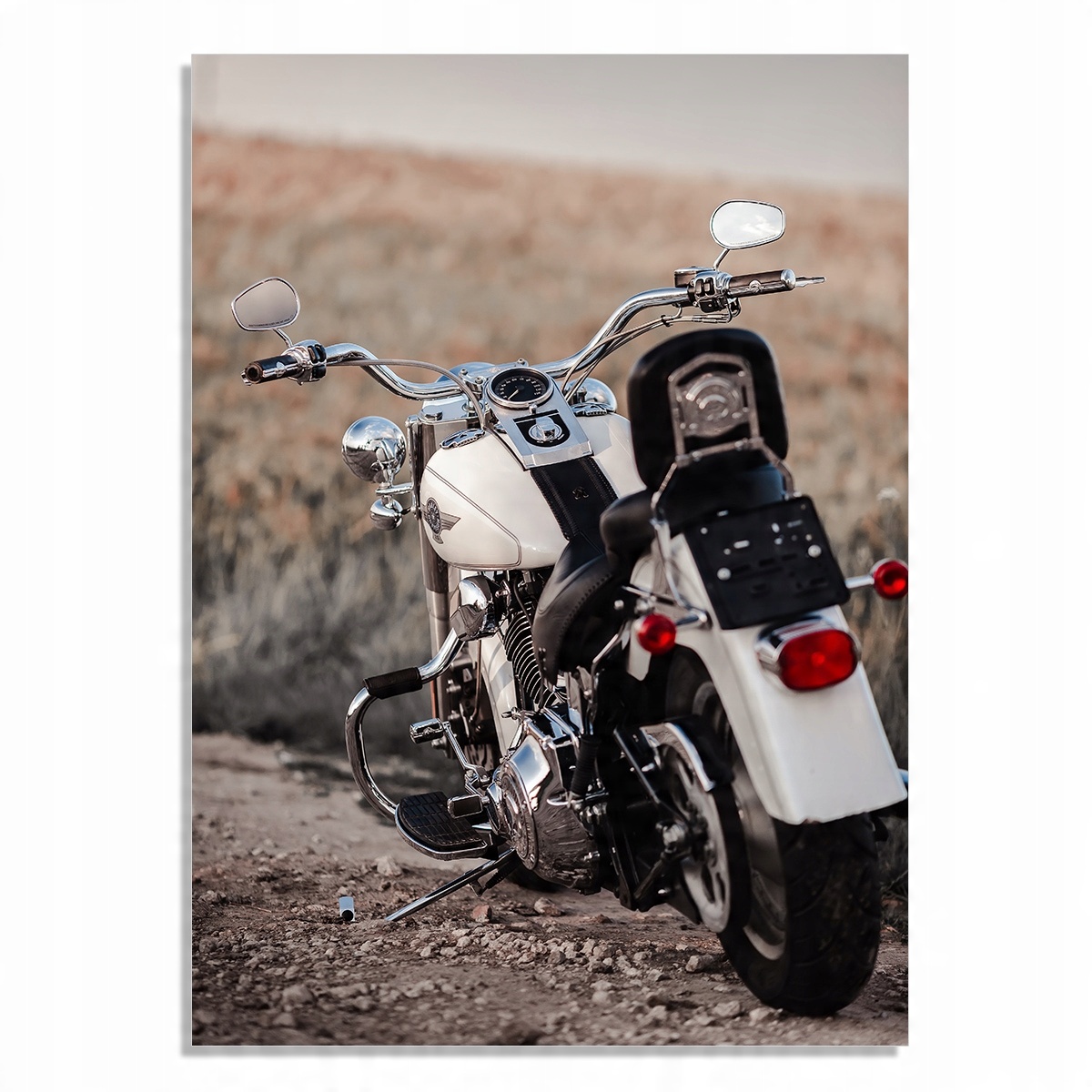 

1x Plakat Na Ścianę Harley 70x100 Różne