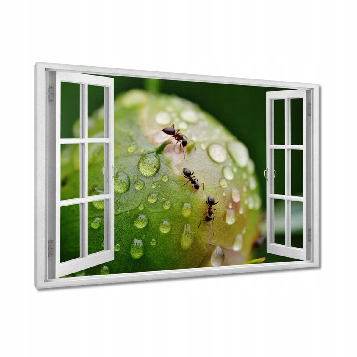Obrazy 120x80 Zvířata Zvířátka