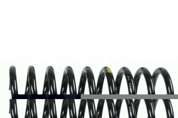 Sachs Pružina Zavěšení Zadní L/p (pro Poj. Z Zaw Asistent řidiče #28