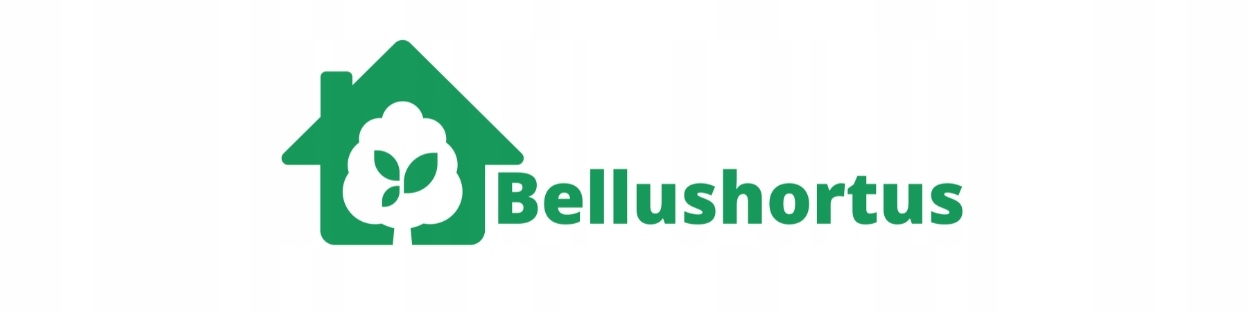 Drewno opałowe do ogniska, kominka DĄB 30cm 25 kg Rodzaj drewna dąb