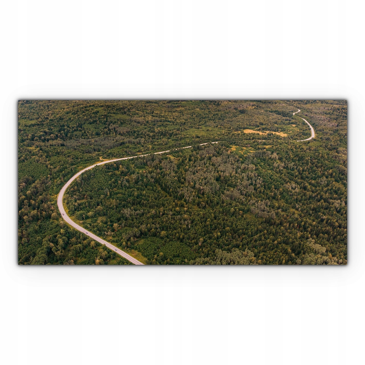 

Canvas płótno do sypialni 120x60 Droga Jesień Las