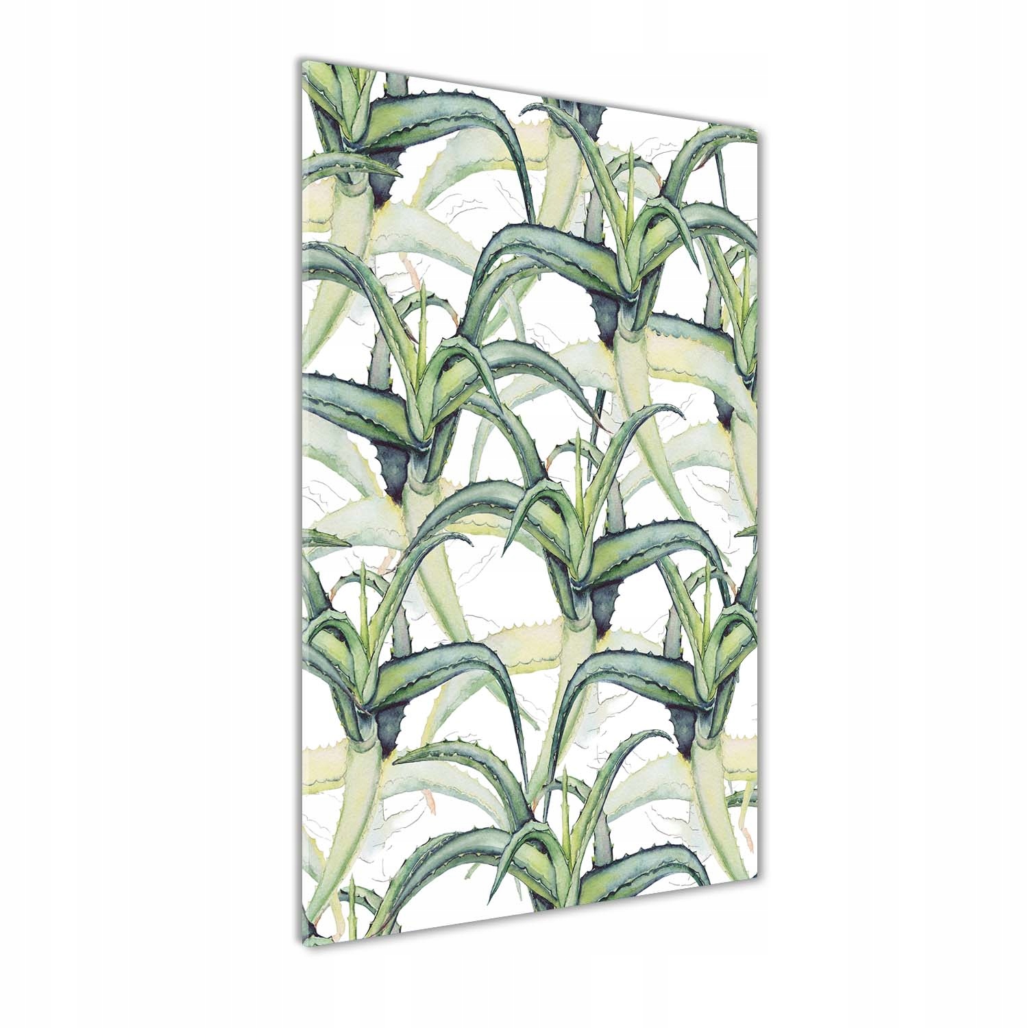 

Nowoczesny foto-obraz akryl na ścianę Aloes 70x140