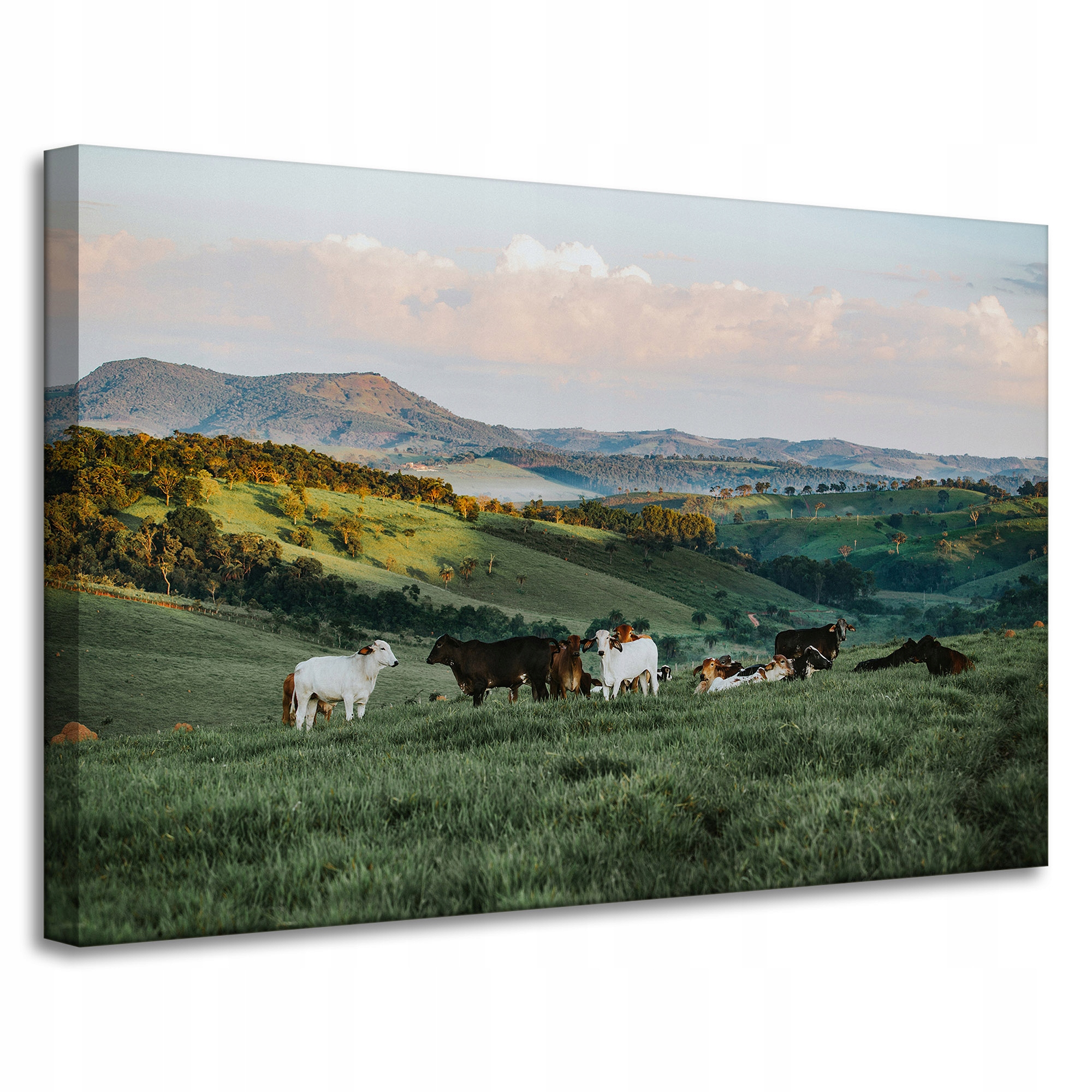 Obraz na plátně Příroda Pastvina Hory Ovce 90x60