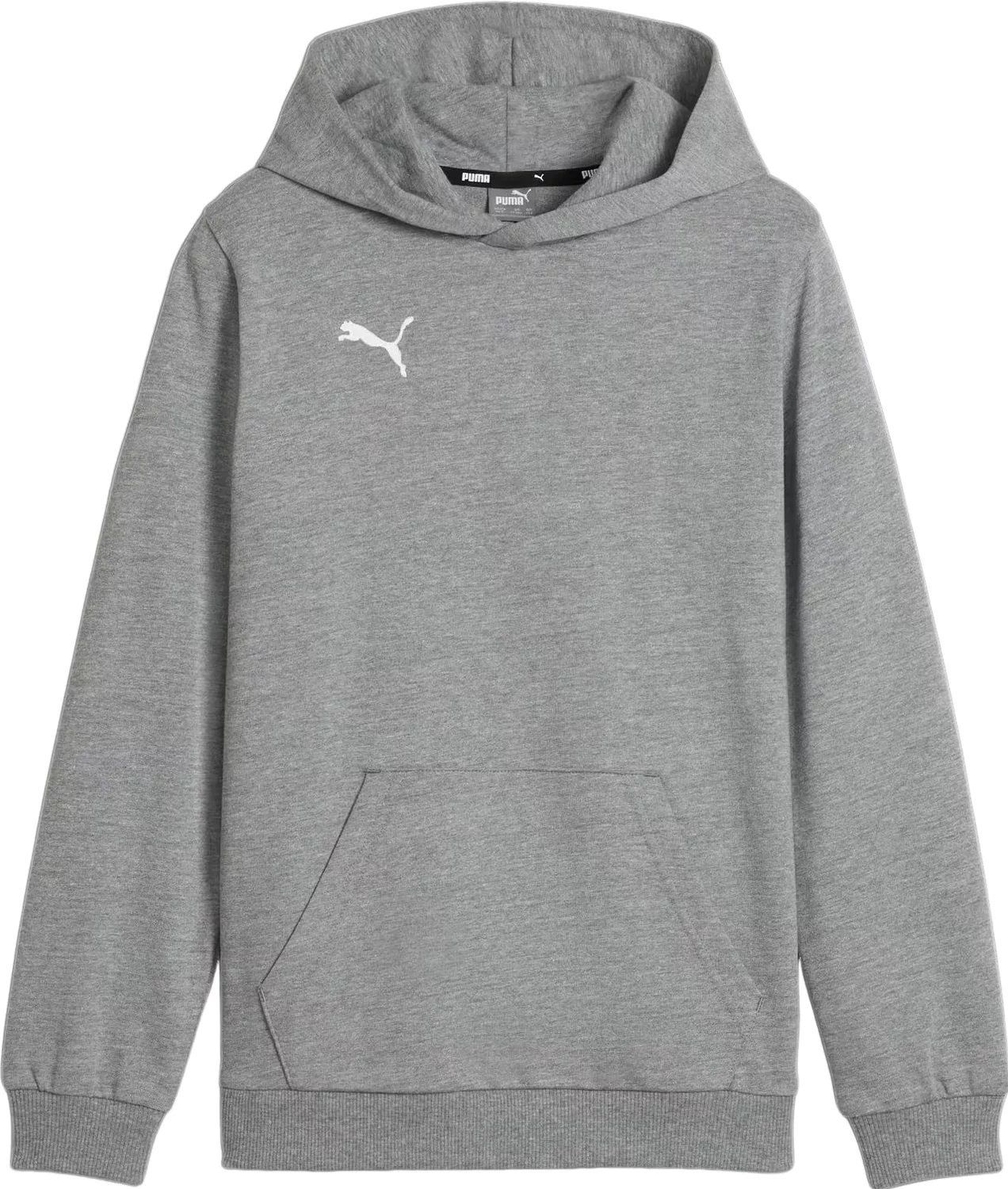 Bluza Juniorska Teamgoal Casuals Hoody Jr Puma 128cm