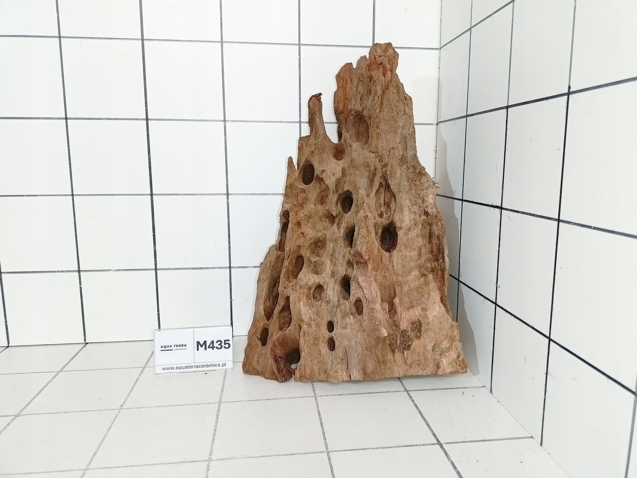 Korzeń Mangrowiec M435 (Kupujesz To Co Na Zdjęciu) Do Akwarium Terrarium