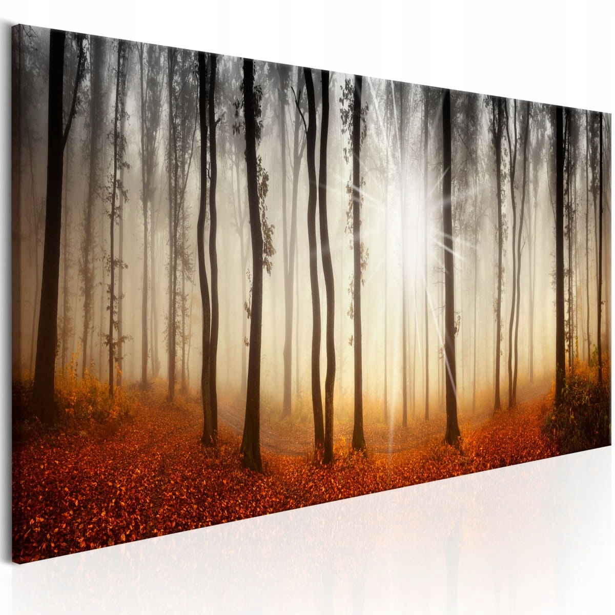 

Obraz - Jesienna mgła - 135X45