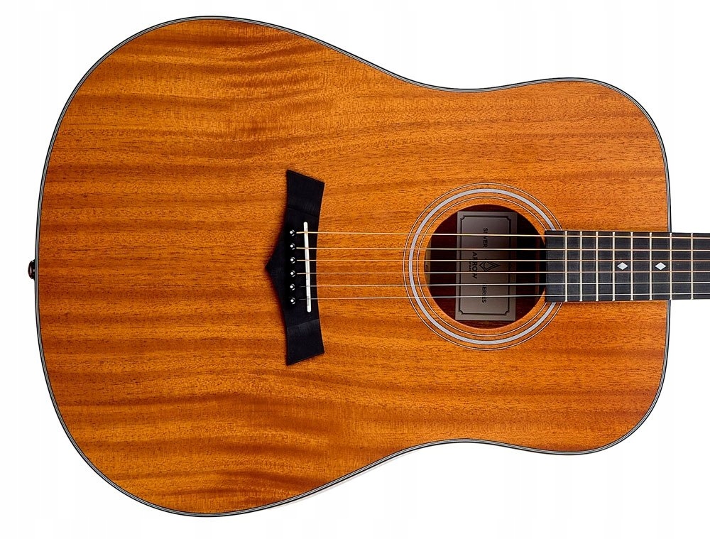 Akustická kytara Arrow Silver D (mh)