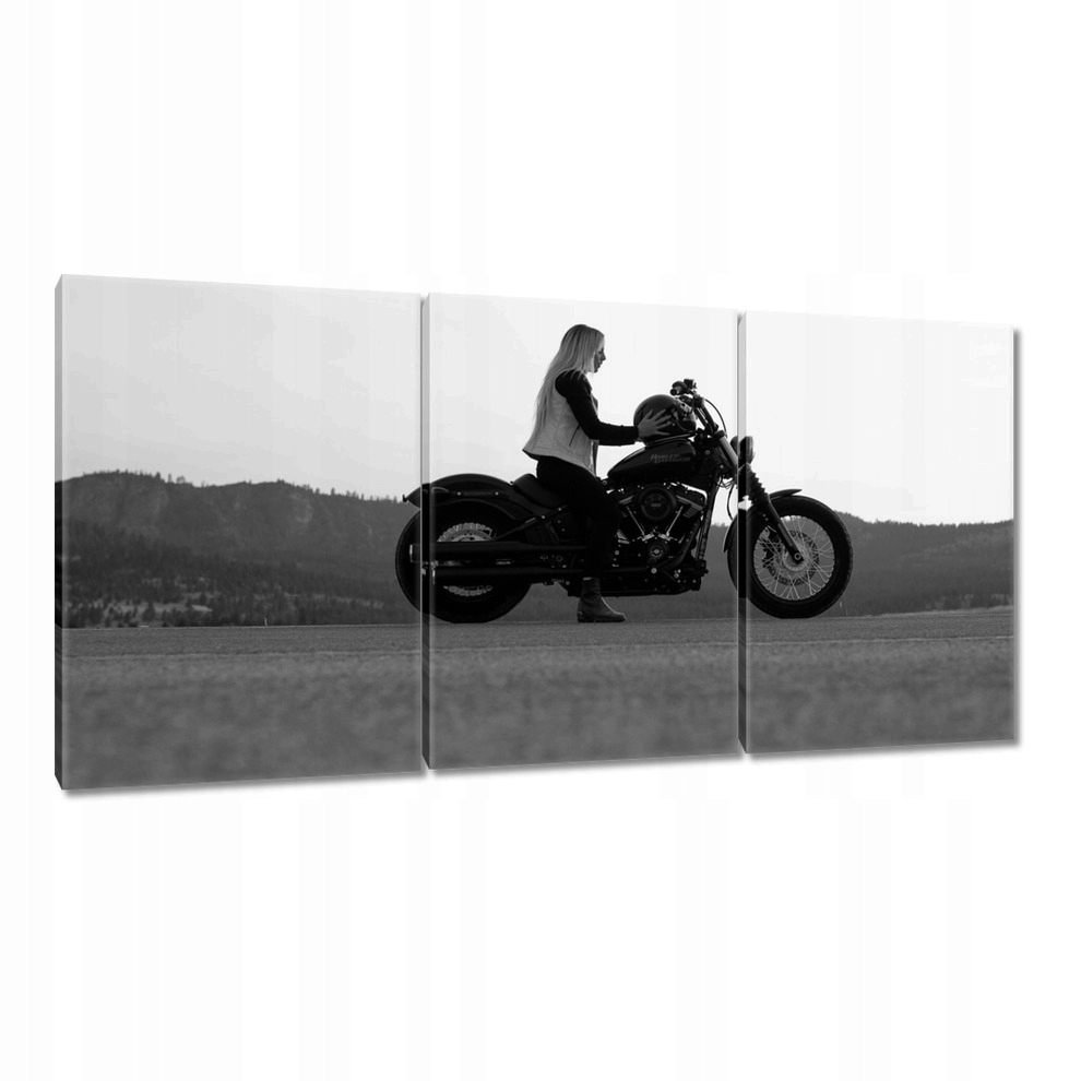 

Obrazy 120x60 Harley Davidson Motocykl