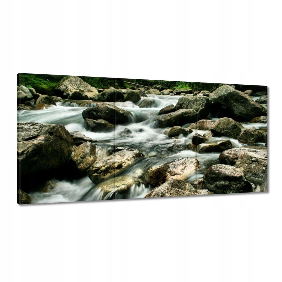 Obrazy 180x90 Tatry Poľské hory Pohľad