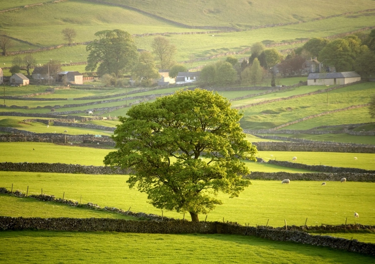 

Tapeta Flizelinowa Anglia Derbyshire - 208x146