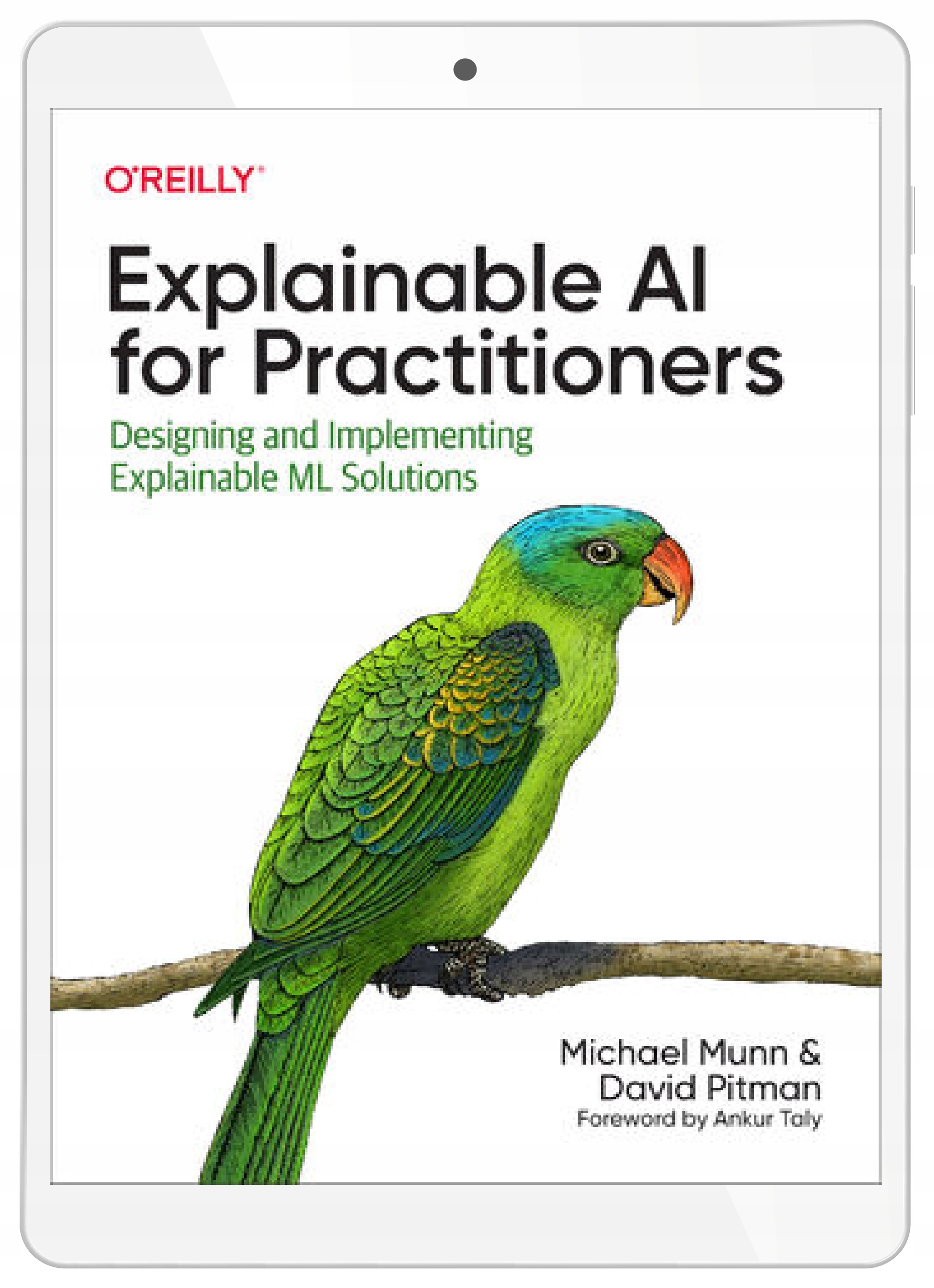 Explainable AI for Practitioners
