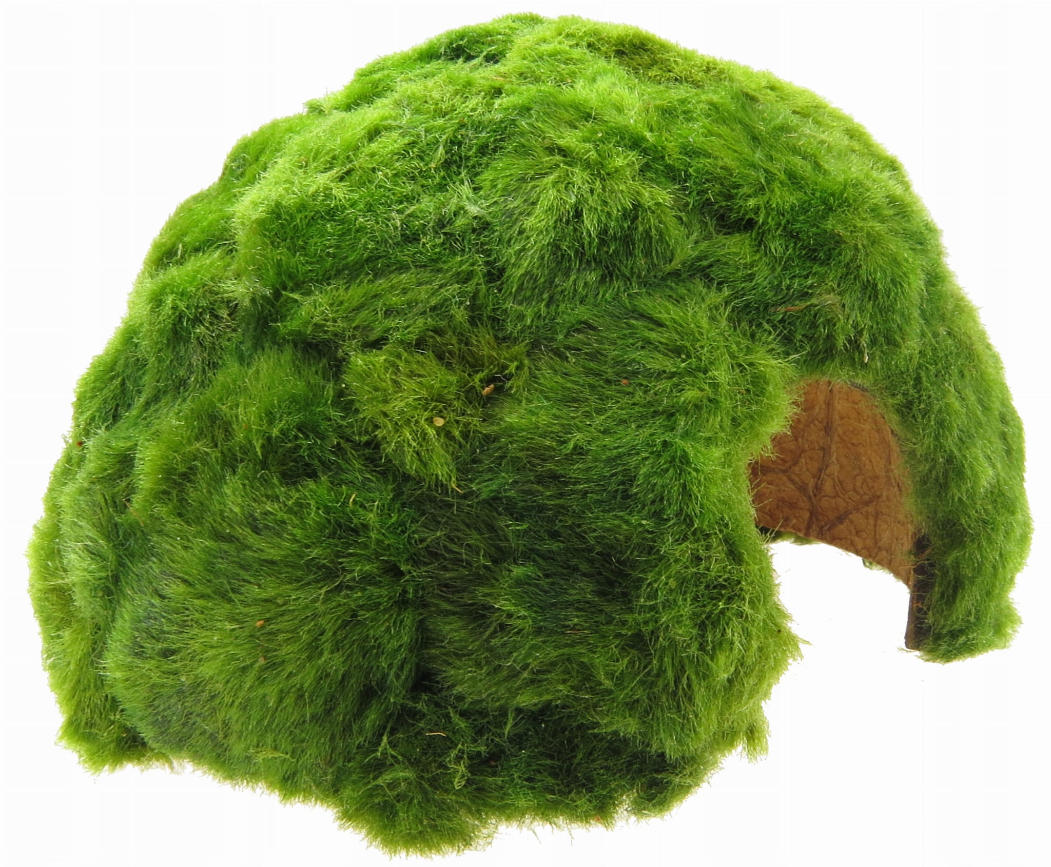 SEAWEED НА СКОРЛУПЕ КОКОСА ГРОТ ДЛЯ АКВАРИУМА