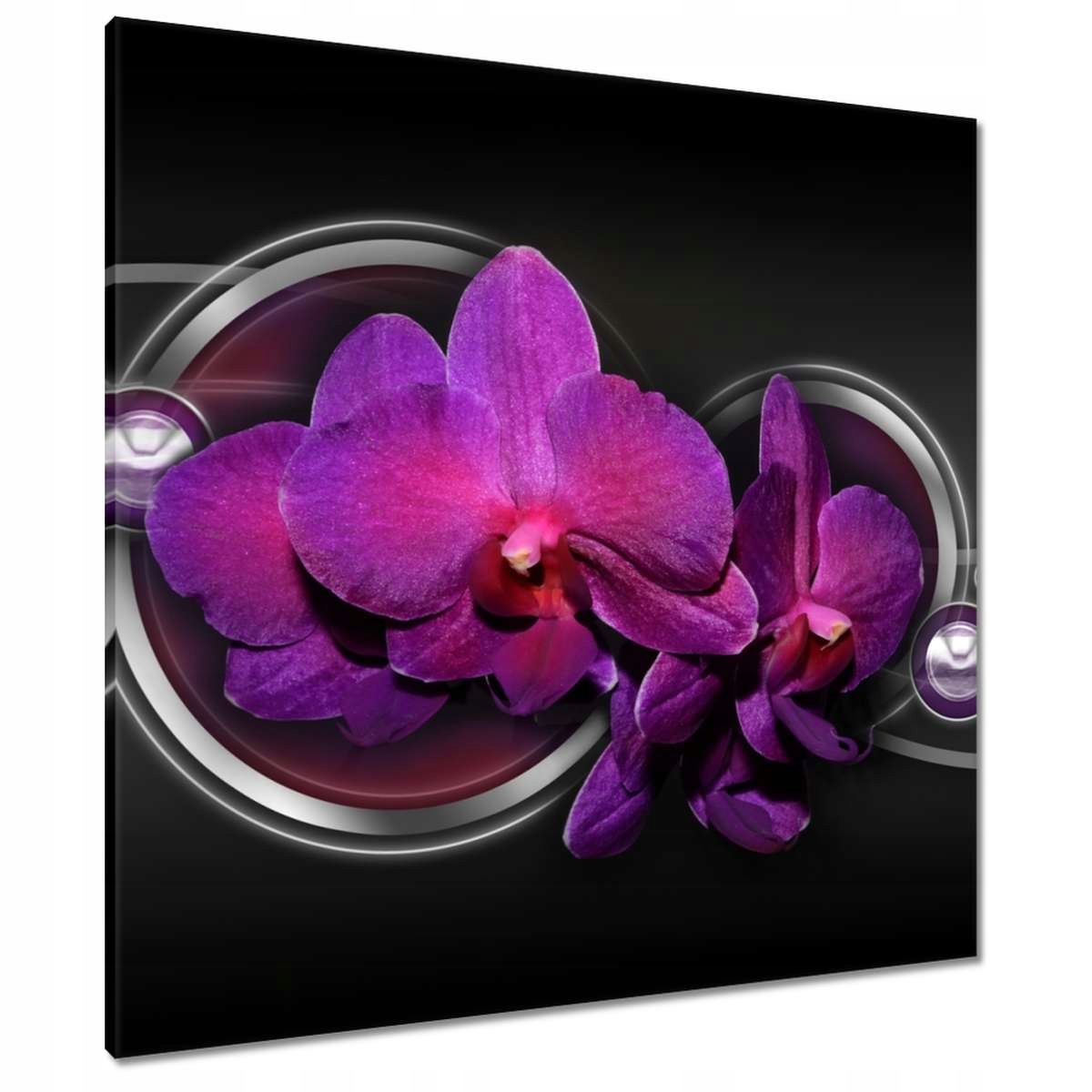 Obrazy 80x80 Fialová orchidej