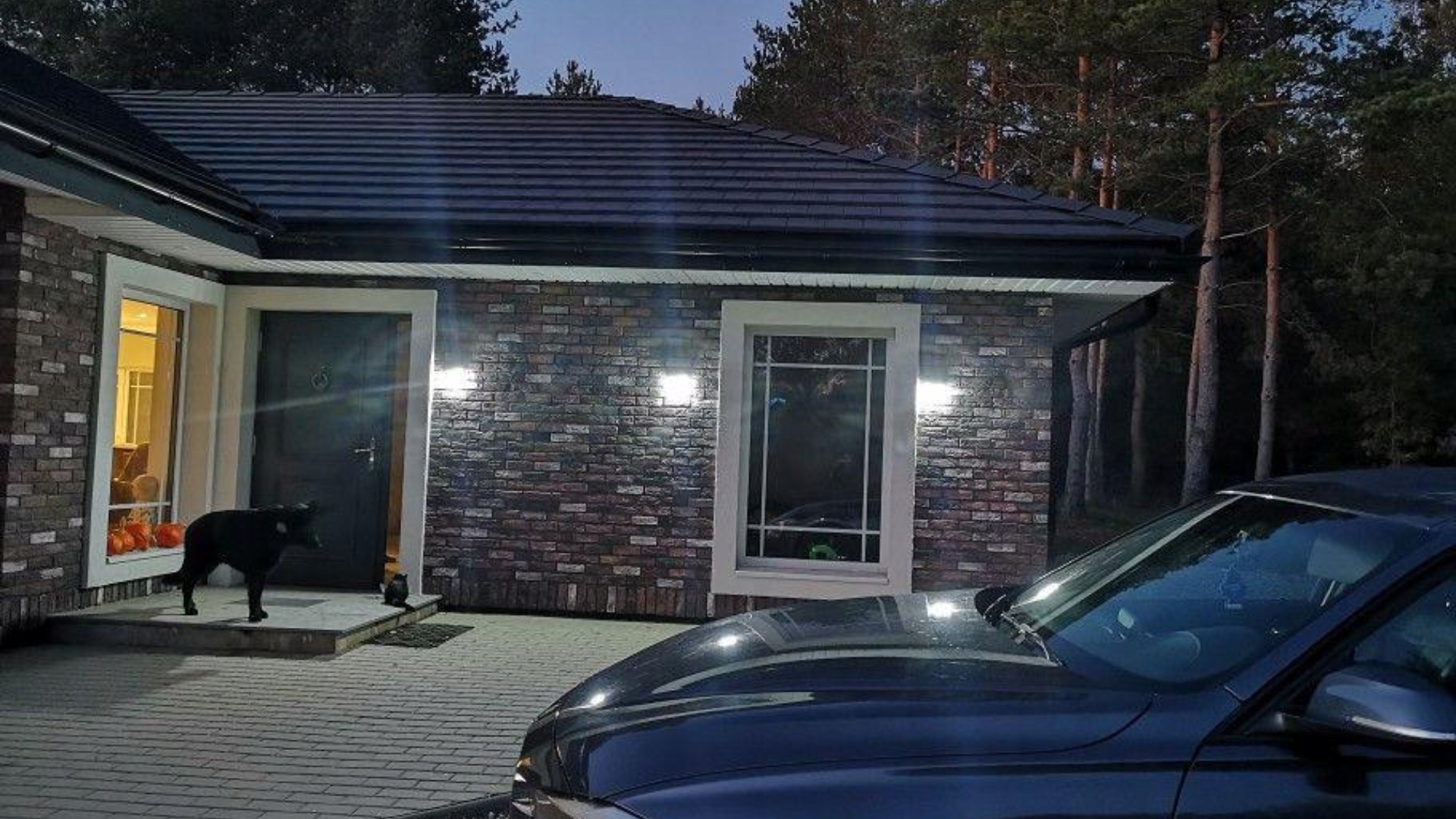 LAMPA SOLARNA 100LED Z CZUJNIKIEM RUCH I ZMIERZCHU Kształt nieregularny