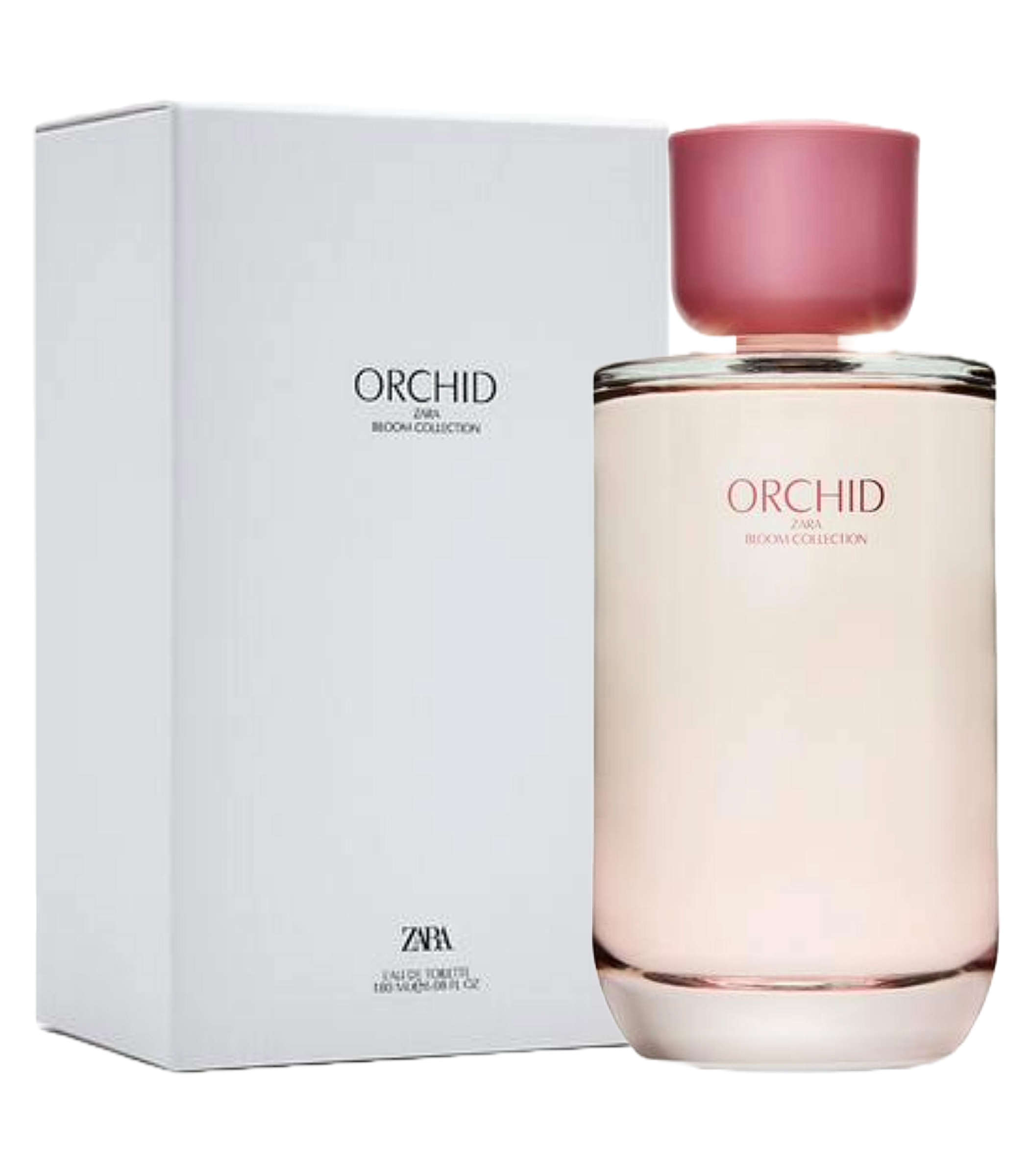 Dámské Parfémy Zara Orchid 180 ML Nové Ovocné