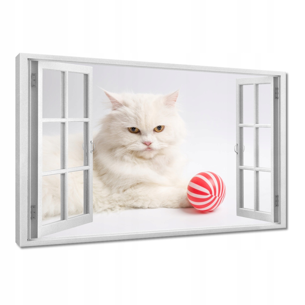 

Obrazy 120x80 Kot Kotek Kotki Koty