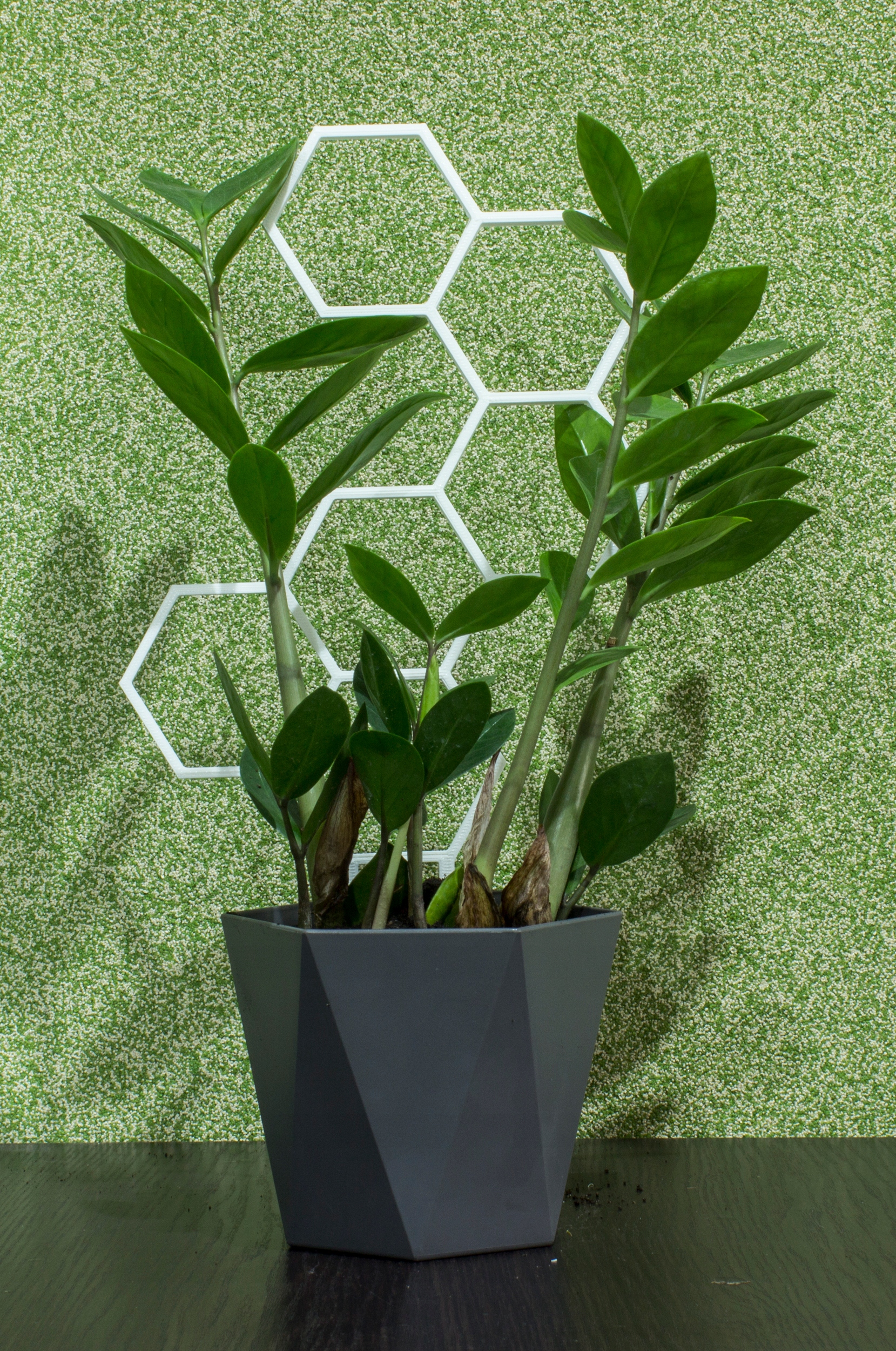 PODPÓRKA KWIATÓW ROŚLIN DRABINKA PERGOLA 37cm Kod producenta miod37w