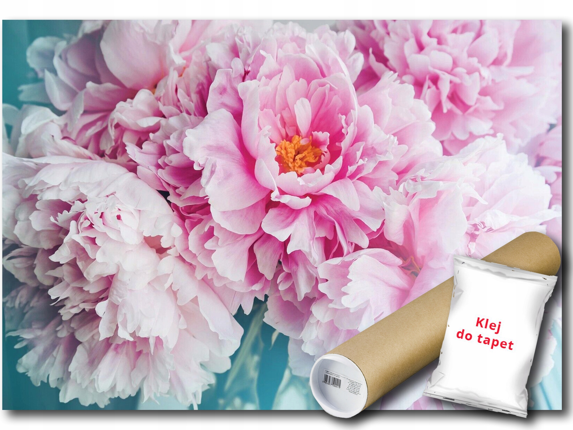 Vinylová Fototapeta Kvety Pivonie 254x184