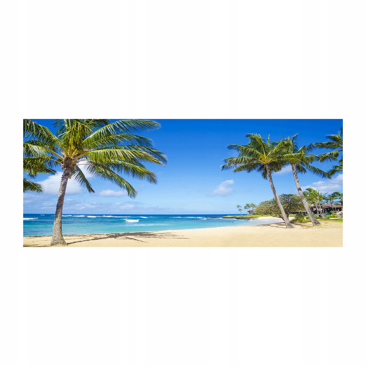 

Foto obraz szkło akryl Tropikalna plaża 125x50 cm