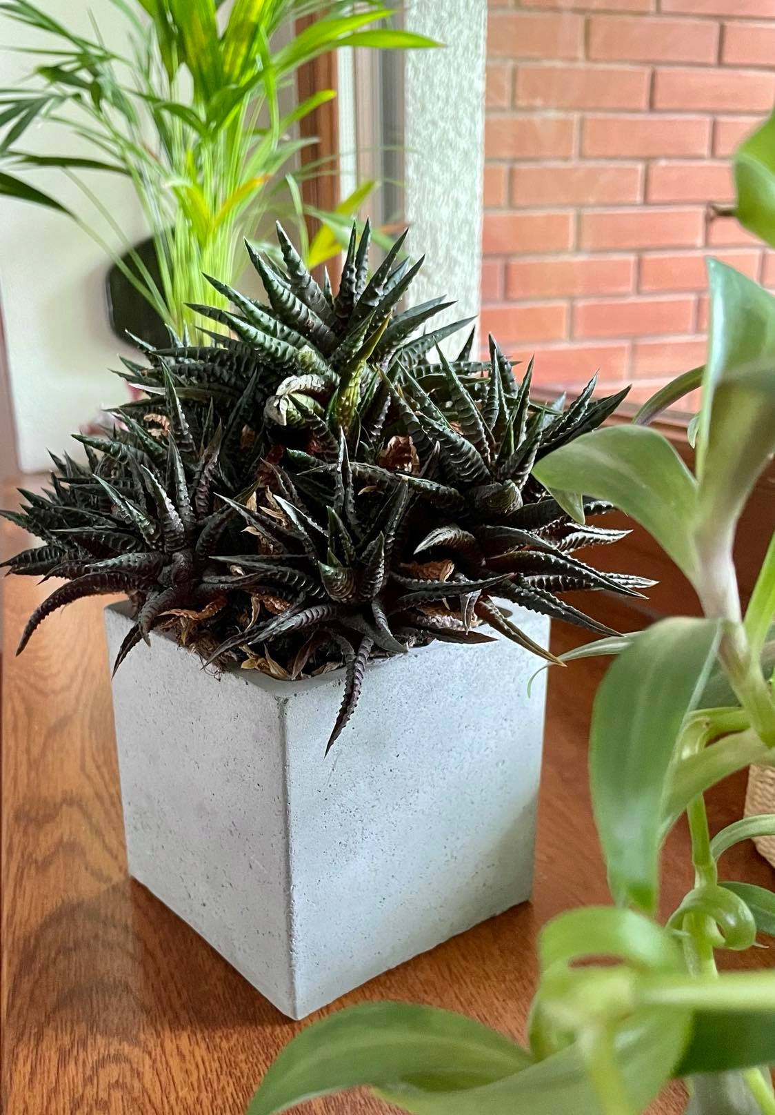 DONICA OSŁONKA DONICZKA BETONOWA kWADRATOWA Marka inna