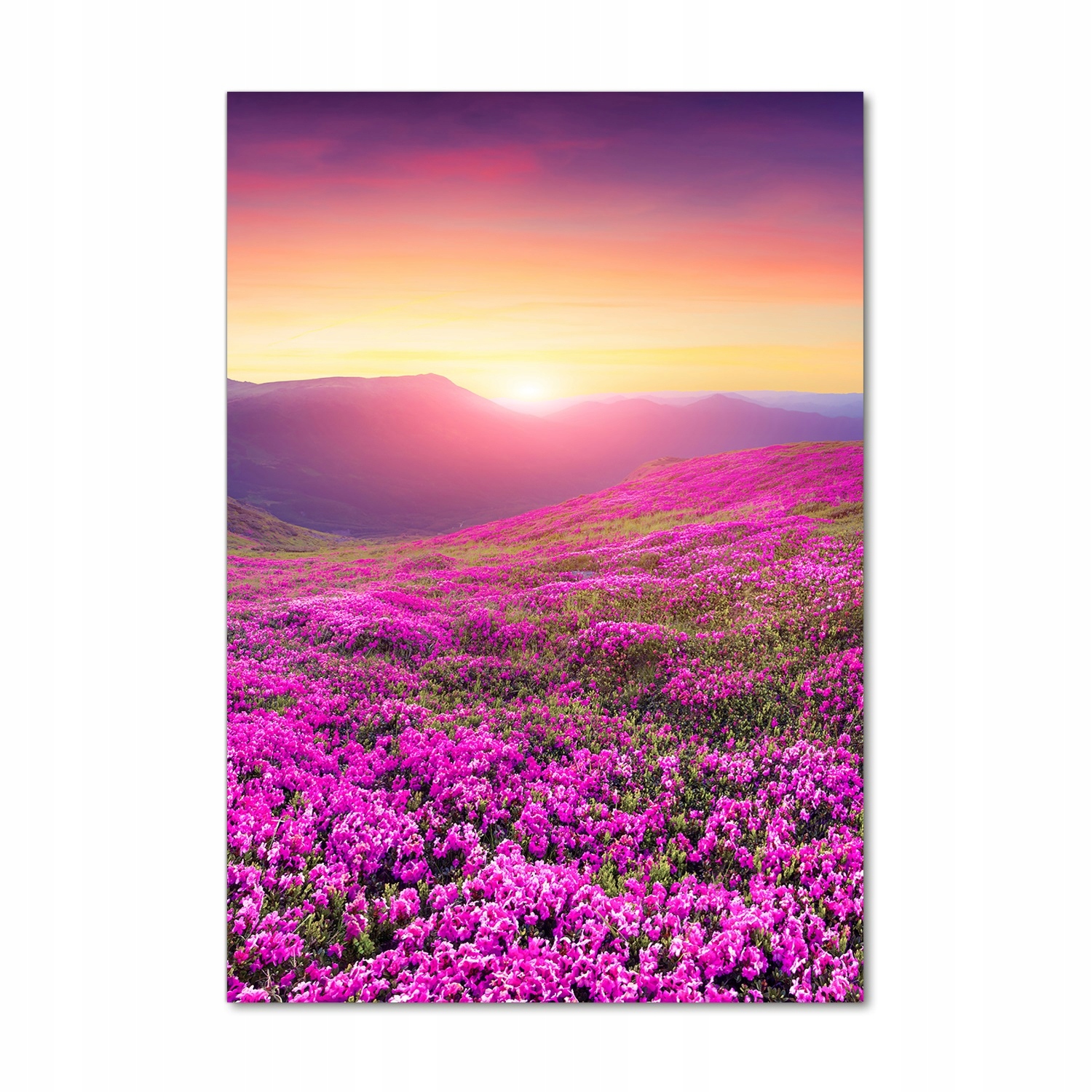 

Foto obraz szkło akrylowe Góry rododendron 70x100
