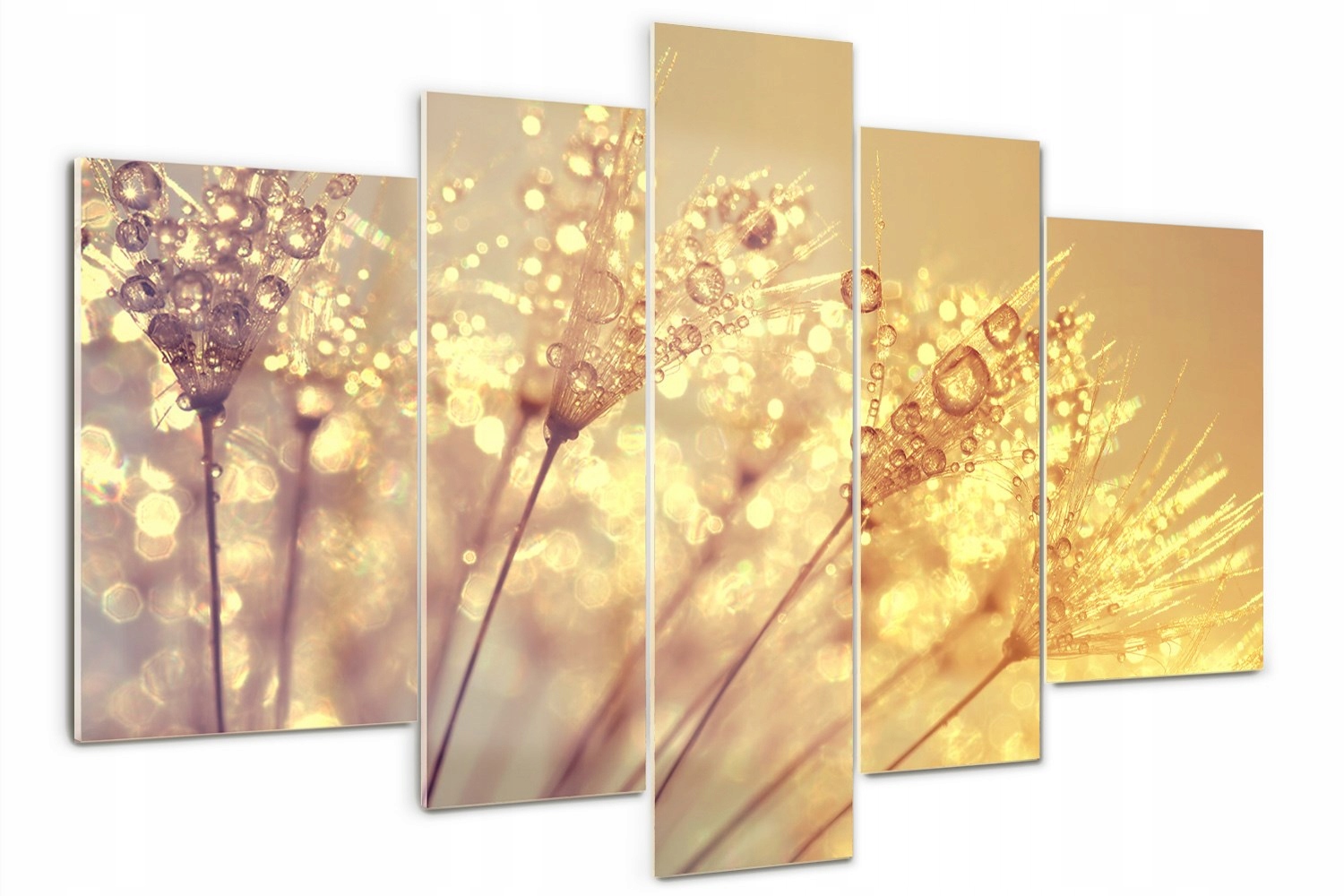 

Foto Obraz szklany tryptyk Nasiona dmuchawca