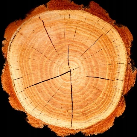 Yodeyma PLATINUM Eau de Parfum 50ml EDP Marka Yodeyma