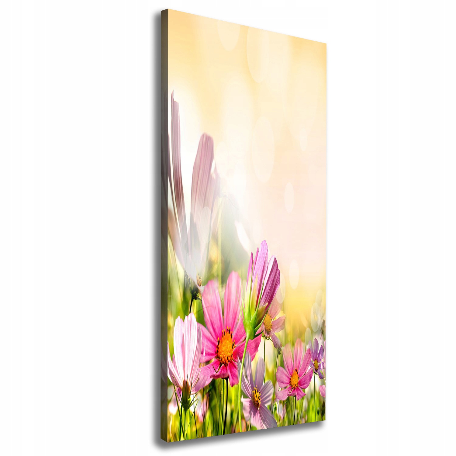 

Foto obraz canvas do salonu Polne kwiaty 50x125