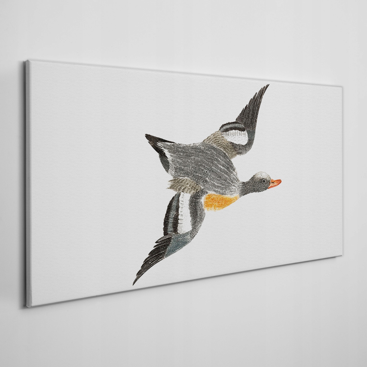 

Ścienny fotoobraz na płótnie Zwierzę ptak 120x60