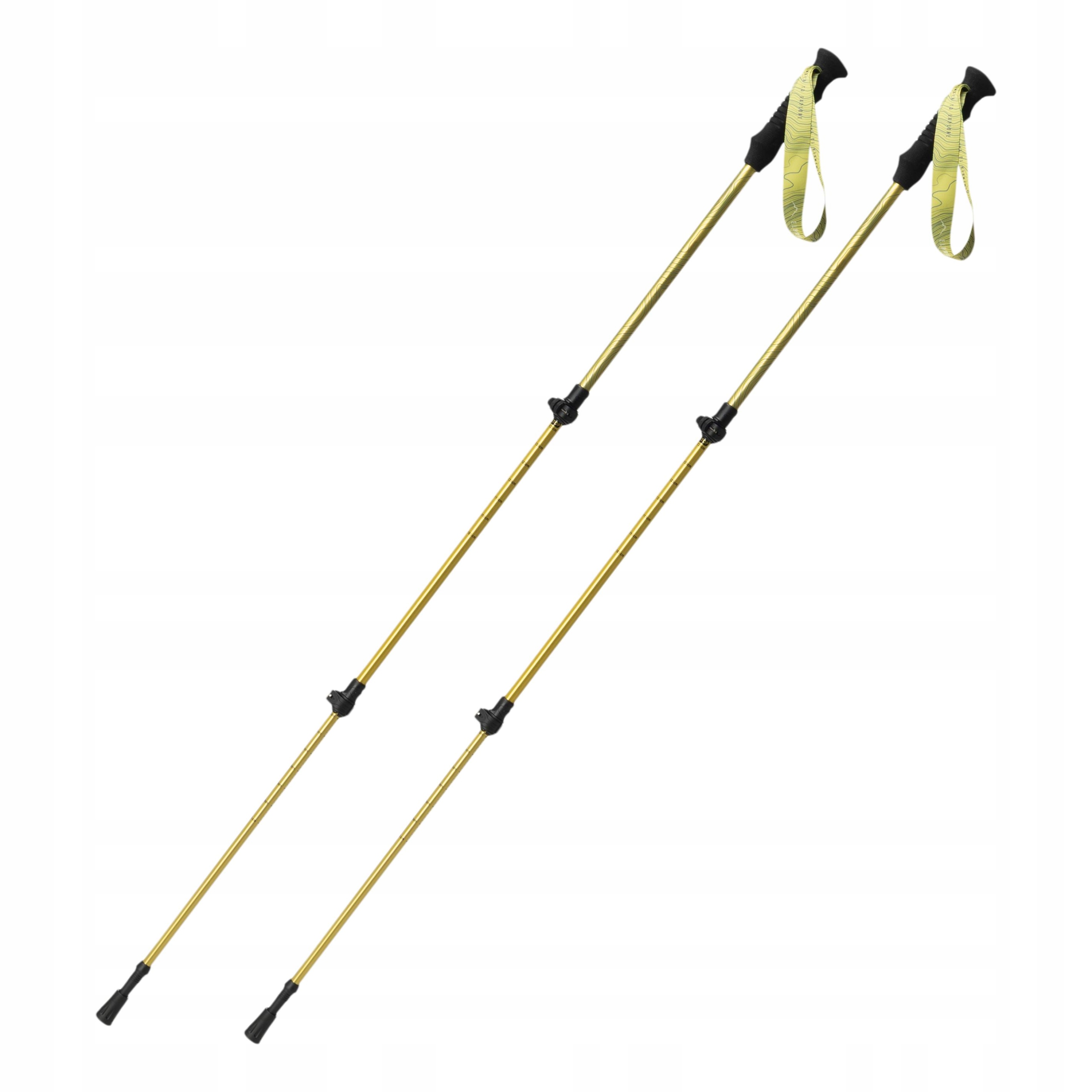 Kije trekkingowe Toandes