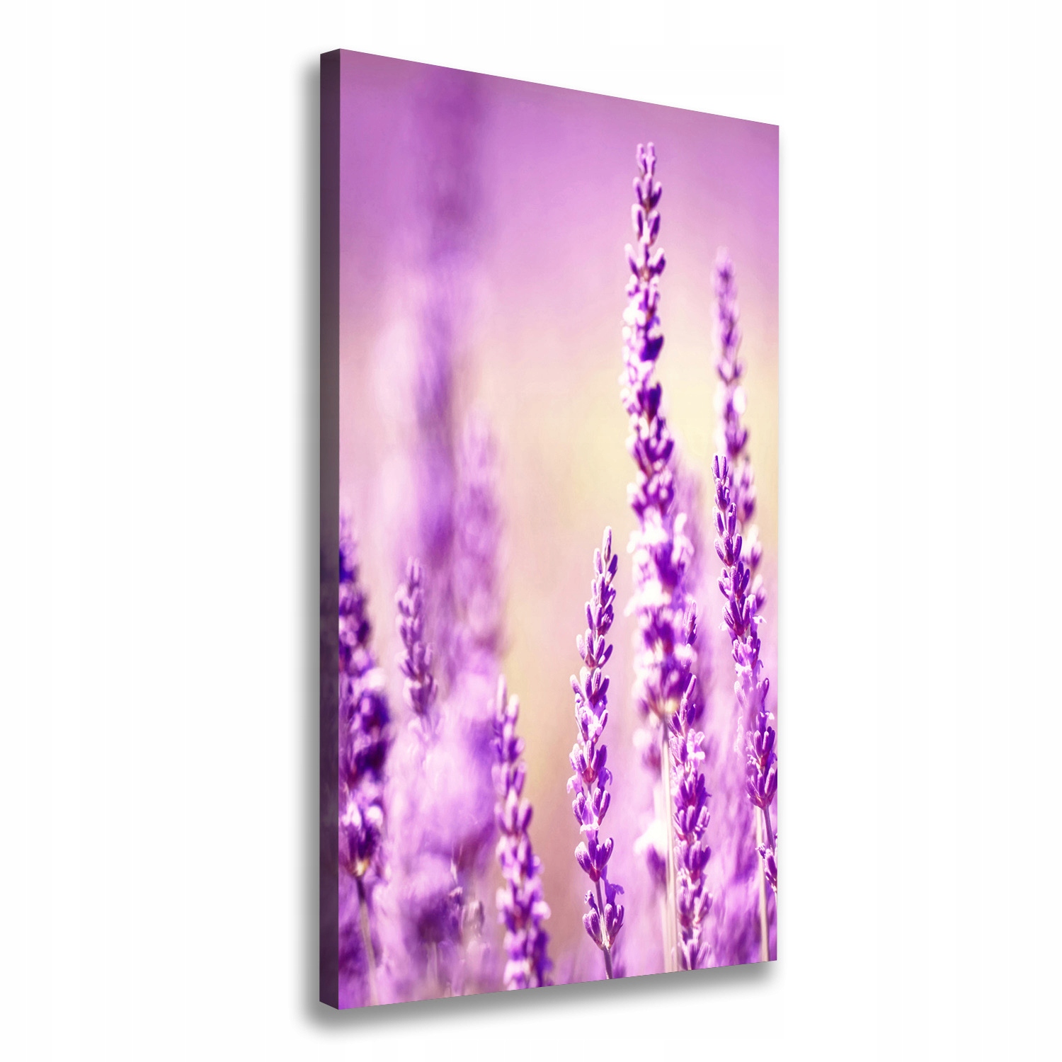 

Nowoczesny obraz canvas na ramie Lawenda 50x100 cm
