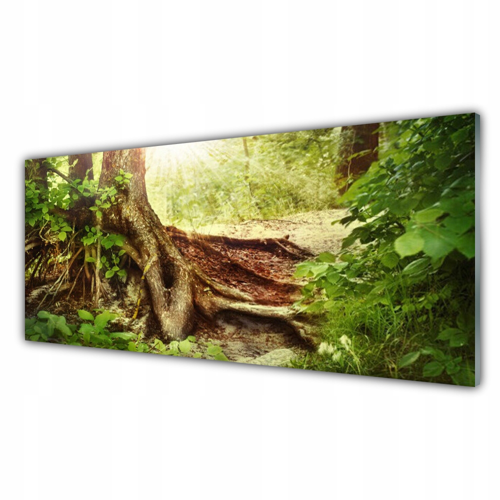 

Obraz akryl wiszący 125x50 Drzewo Pień Natura Las