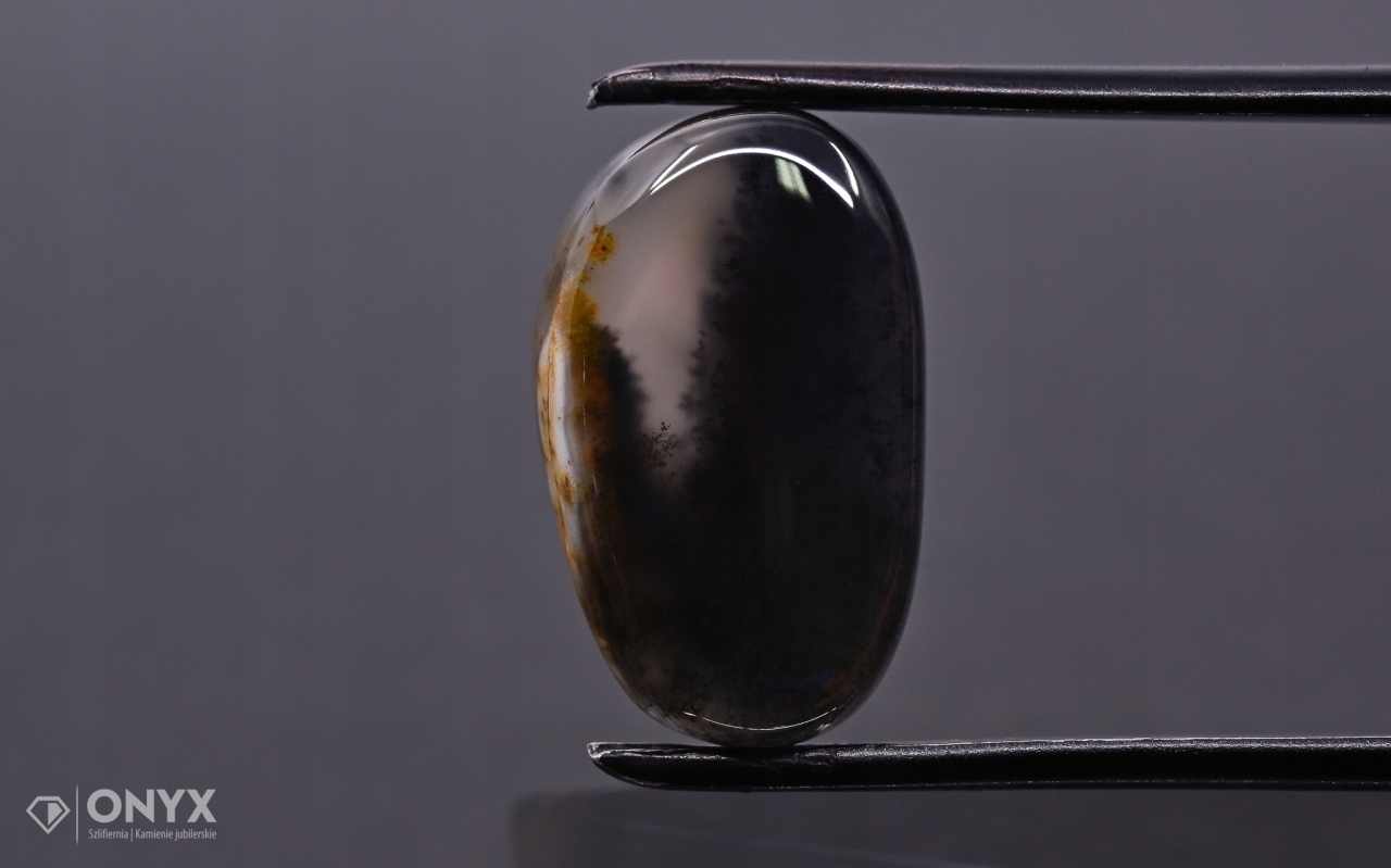 Dendritový achát z Kazachstánu nepravidelná destička