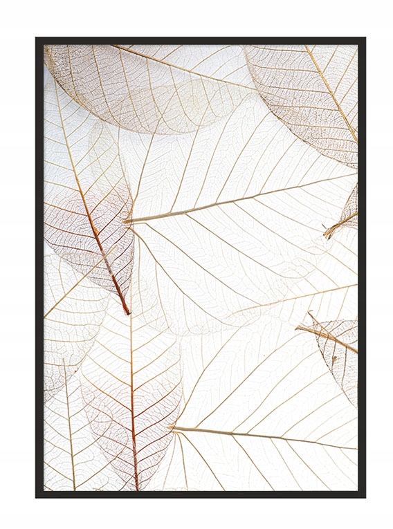 

Obraz Plakat W Ramie 53x73 cm Złote Liście P634