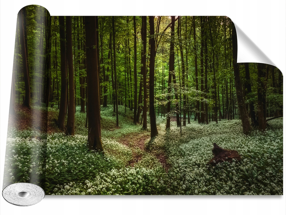 

Tapeta Samoprzylepna MagicStick Wiosna Las 104x70