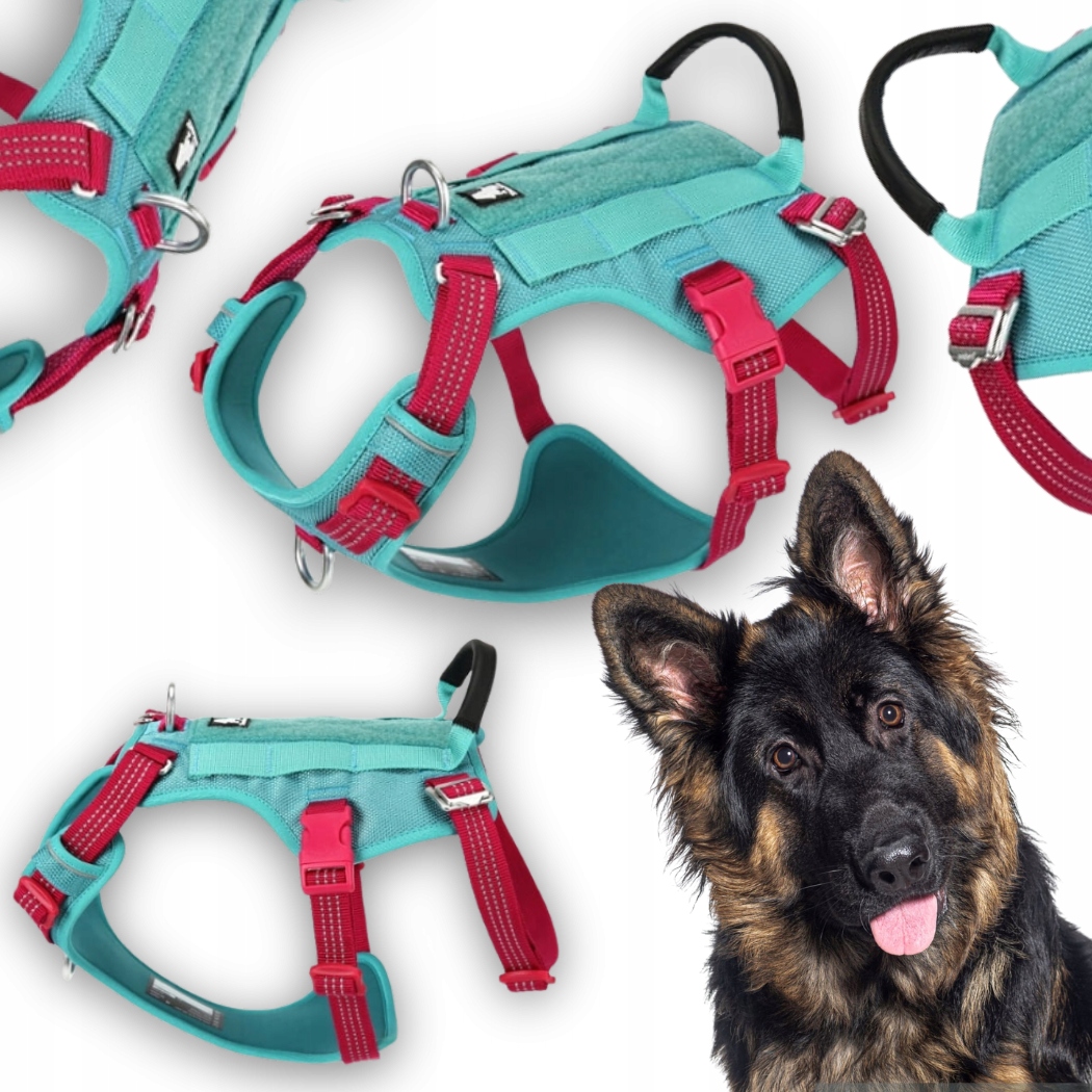 Levně Reflexní Protiúnikové Postroje Pro Psa Truelove Safe Hiking Modré XL