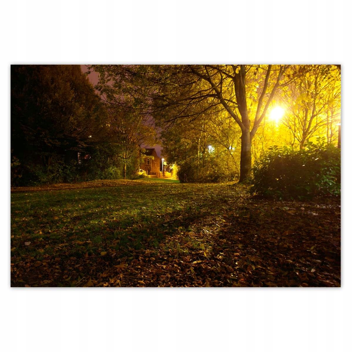 Plakáty 200x135 Park v noci