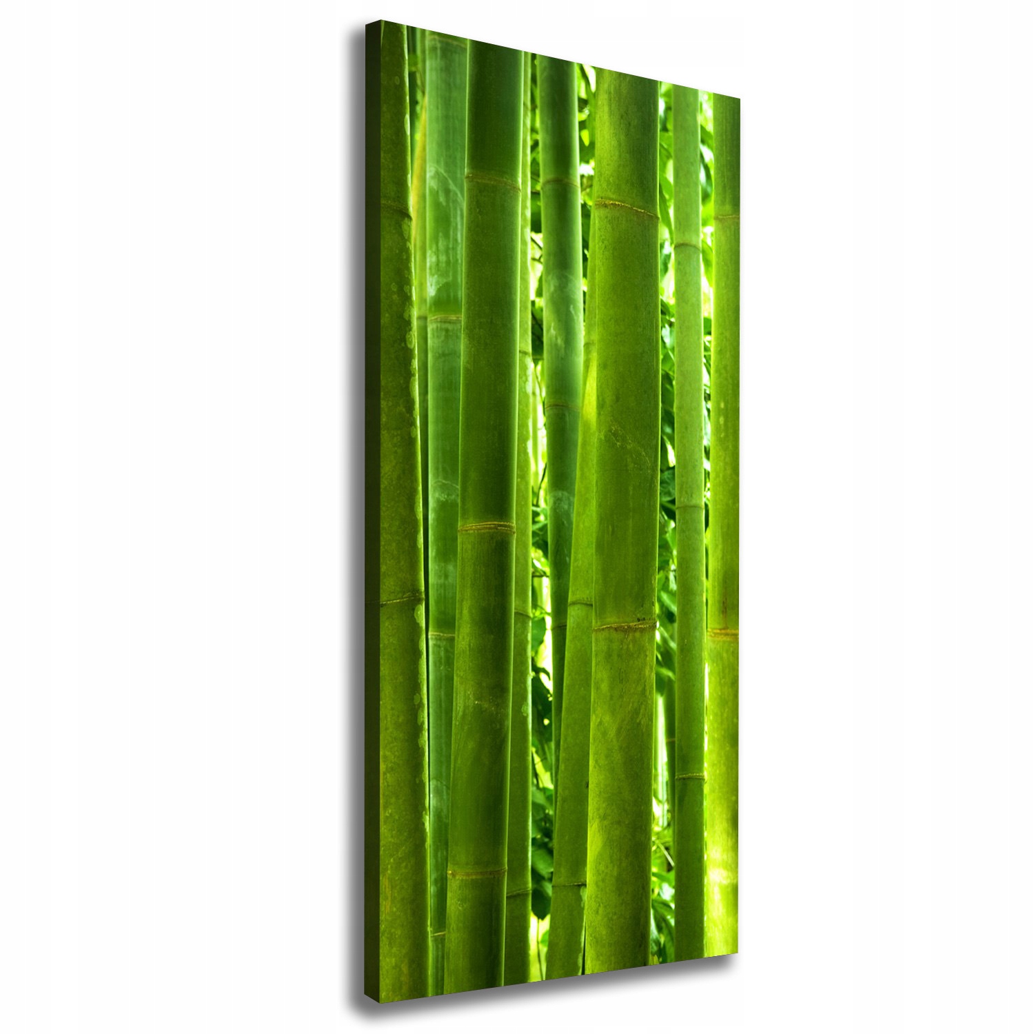 

Nowoczesny fotoobraz canvas na ramie Bambus 50x125