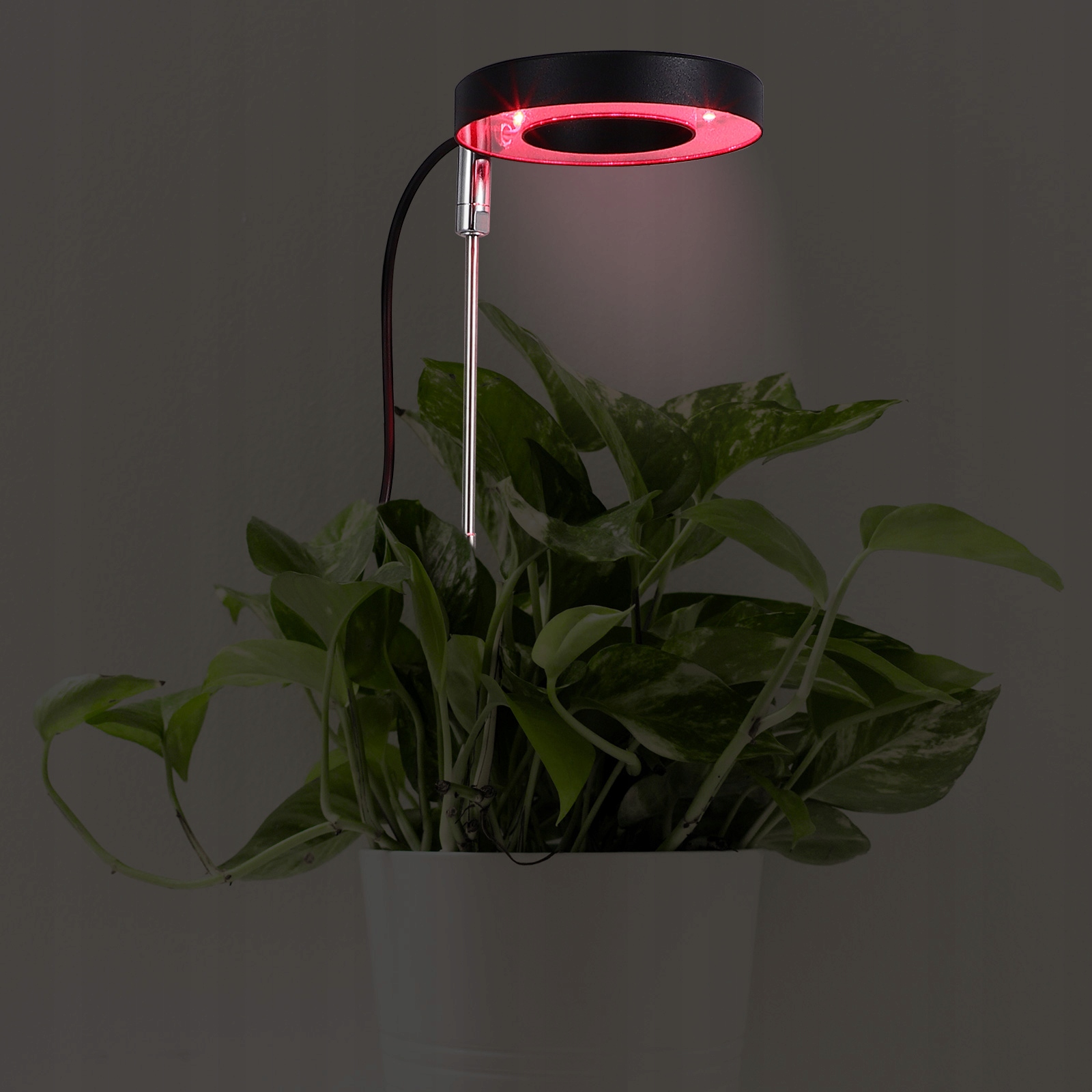 Lampa do Wzrostu Roślin 48 LED Timer + Pilot Typ oświetlenia inny