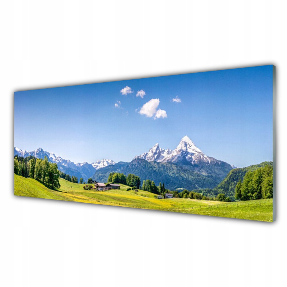 

Obraz akrylowy 125x50 Pola Drzewa Góry Krajobraz