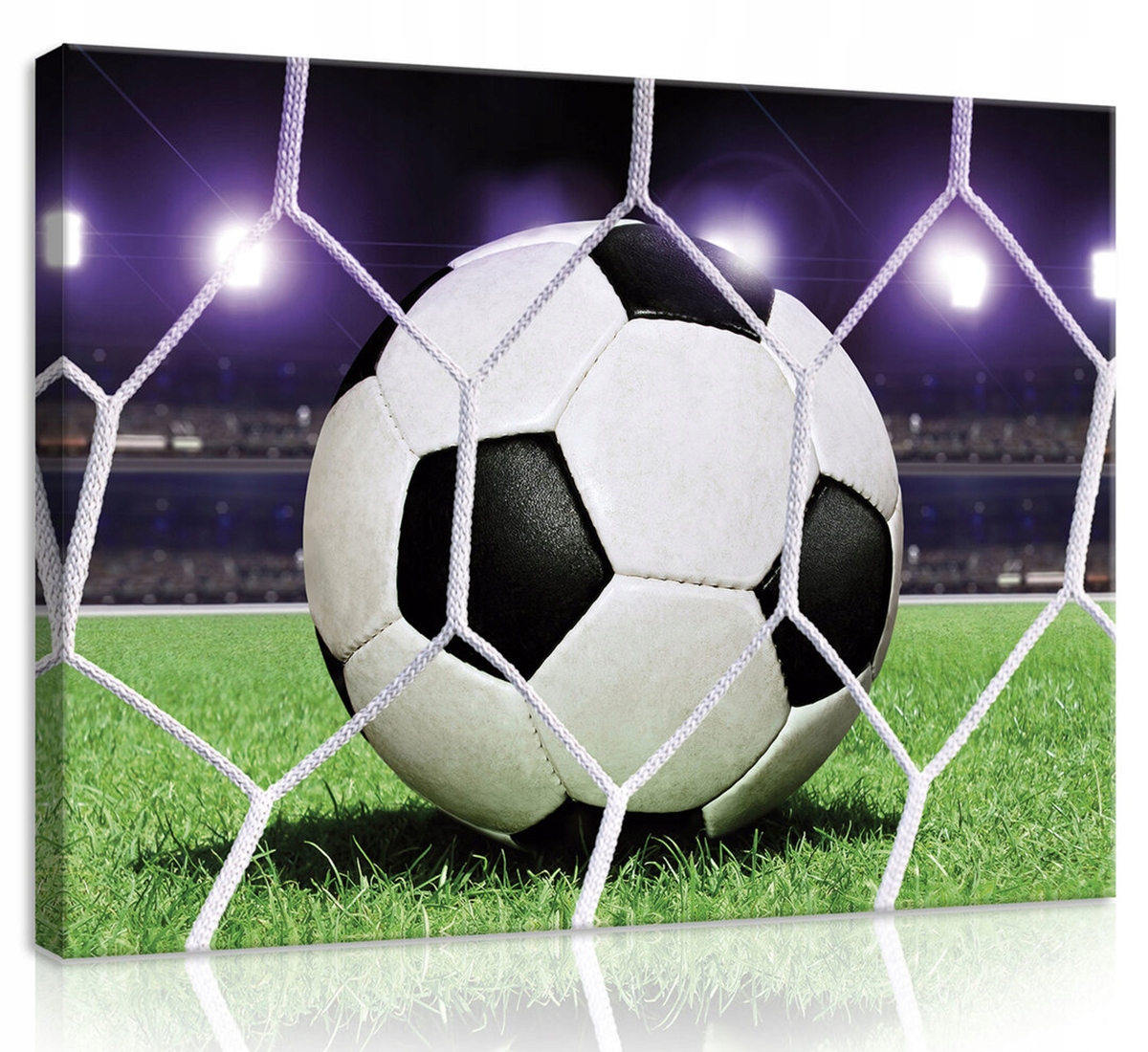 Obraz Na Plátně Canvas 100x75 Fotbalový Fotbal Branka Gol Sport