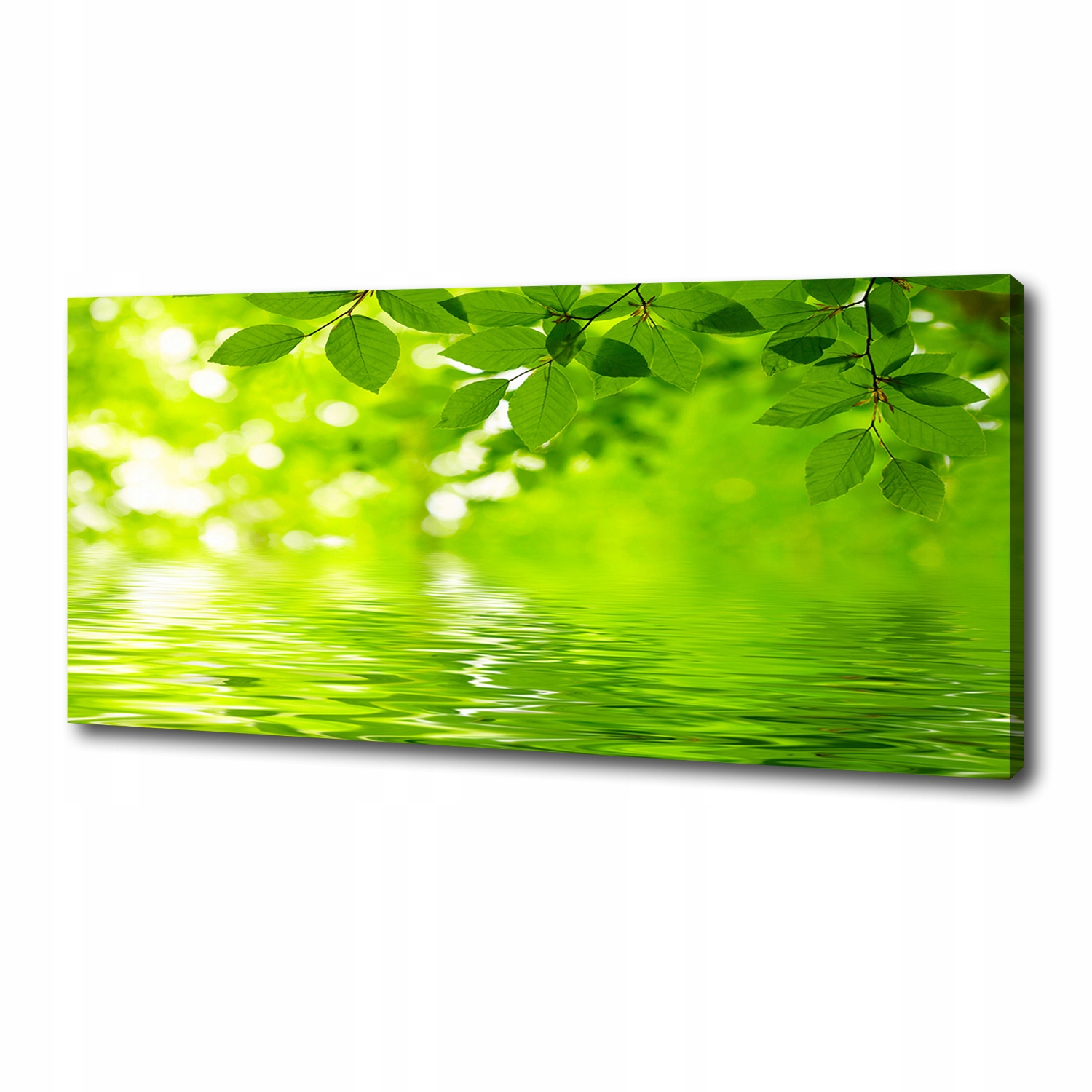 

Foto obraz na płótnie Zielone liście 125x50 cm
