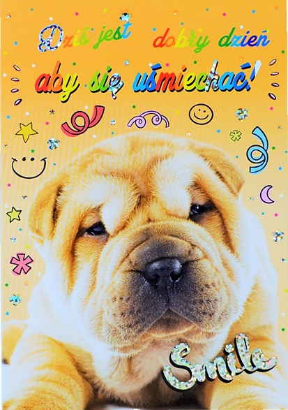 

Zabawne Kartki z życzeniami słodki piesek lux TS12