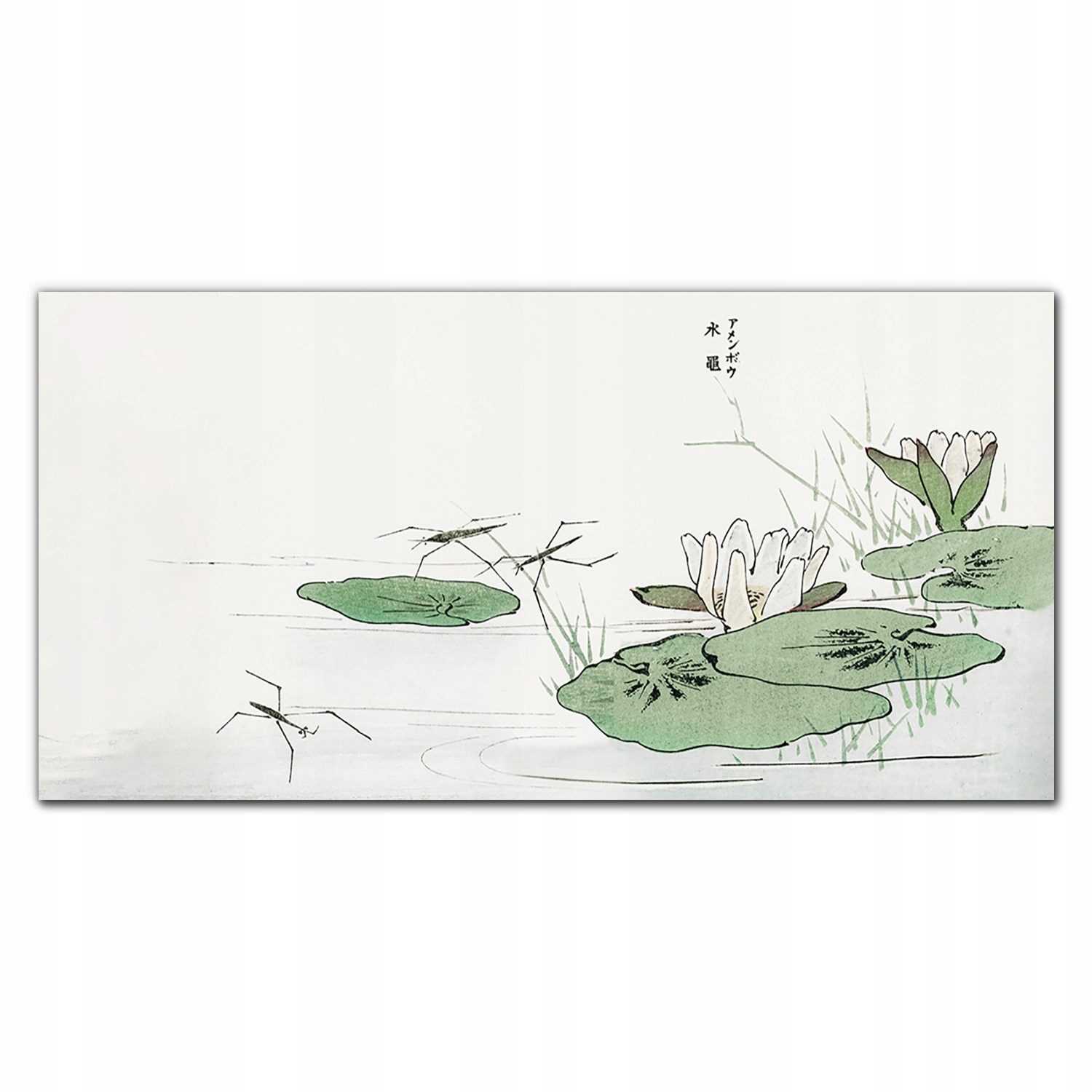 Obraz na plátne Listy jazero hmyz 140x70 cm