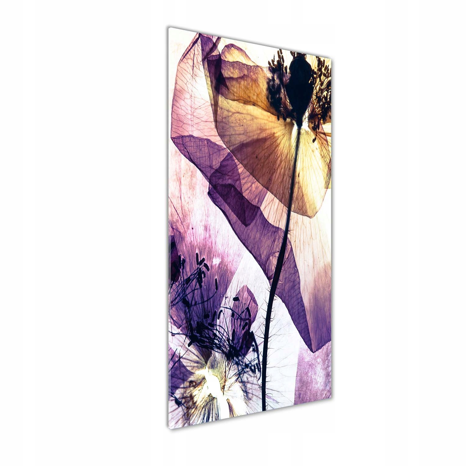 

Nowoczesny foto obraz na ścianę Maki 50x125 cm