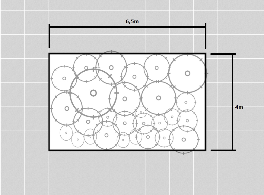 Gotowy Projekt Ogrodu - Srebrzysta rabata zimozielona Marka inna