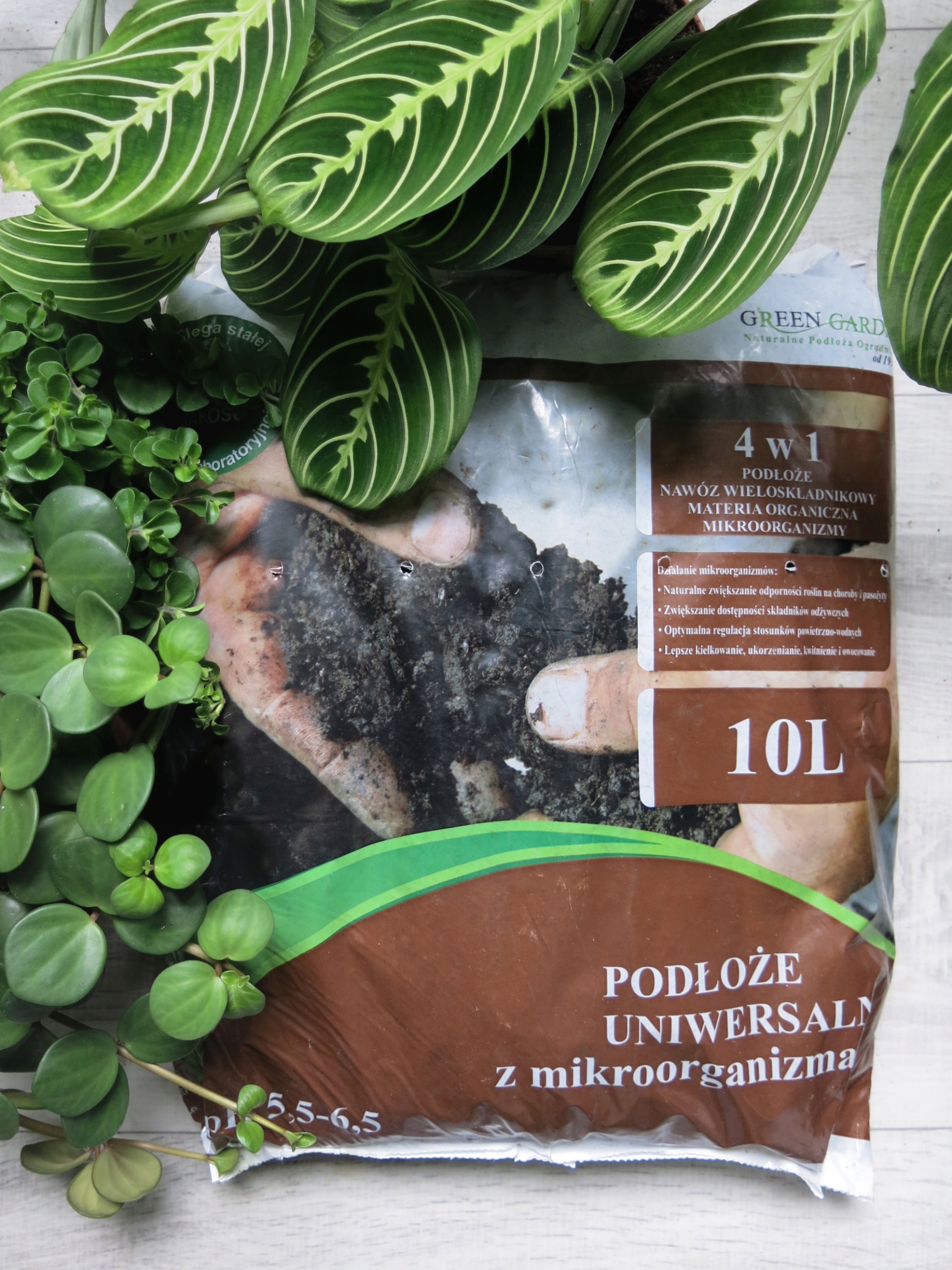 

Podłoże uniwersalne z mikroorganizmami 10 L