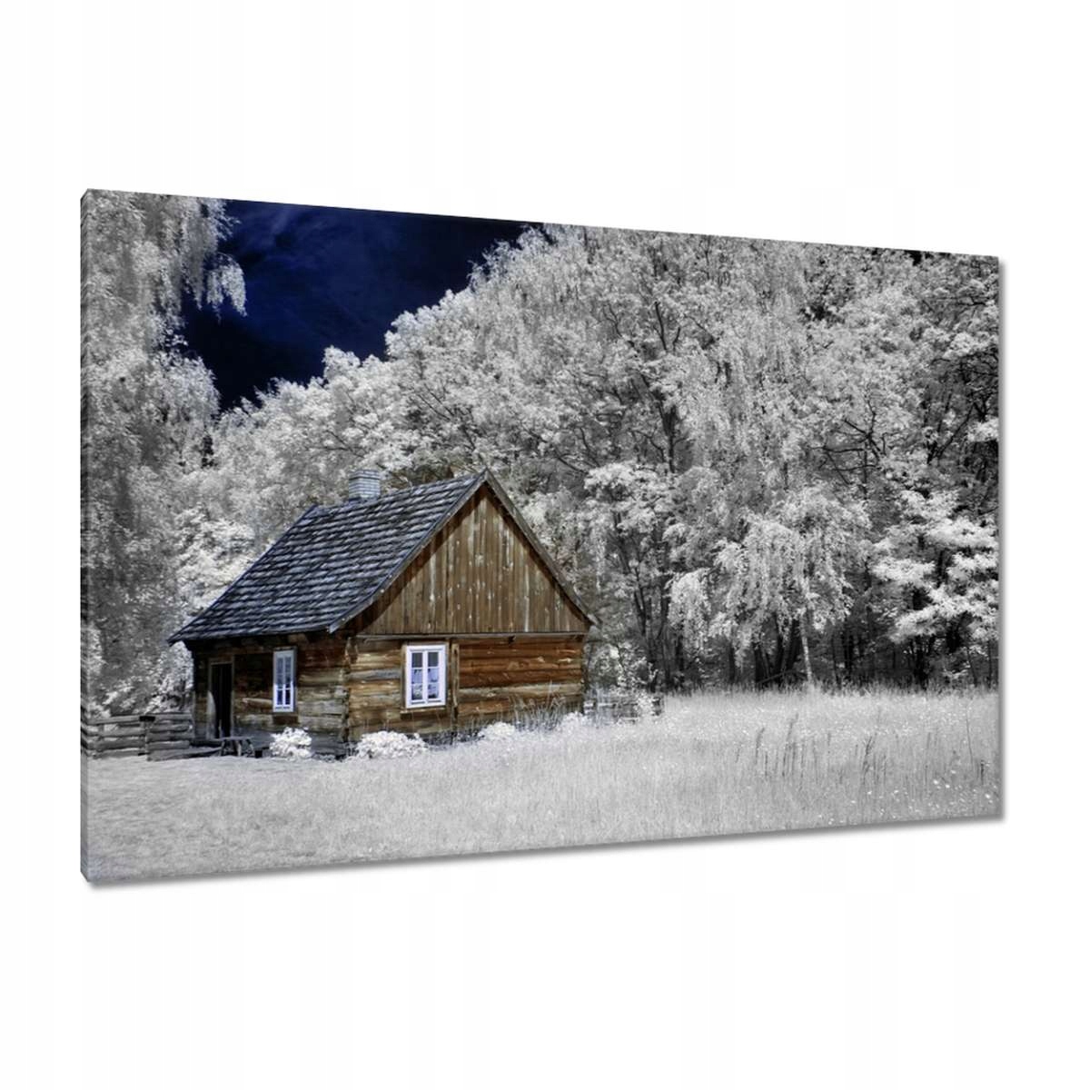 Obrazy 120x80 Srubová chata