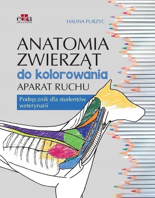 

Anatomia zwierząt do kolorowania Aparat ruchu
